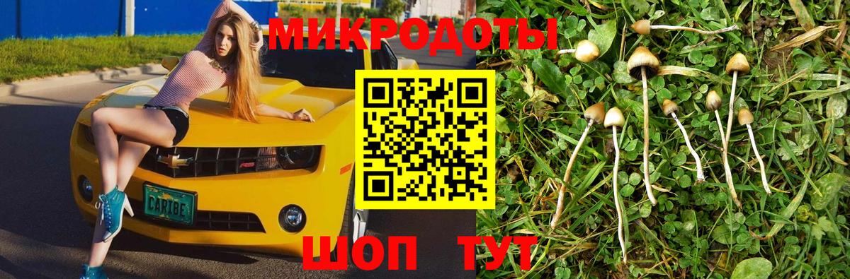 Галлюциногенные грибы прущие грибы Геленджик
