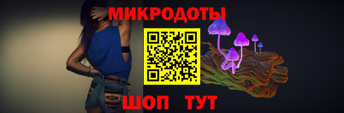 Геленджик  Псилоцибиновые грибы Psilocybine cubensis  Вход с VPN 